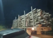 Warga Kampung Berantai Resah, Truk Logging Lintasi Jalan Umum Dan Pemukiman