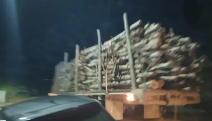 Warga Kampung Berantai Resah, Truk Logging Lintasi Jalan Umum Dan Pemukiman