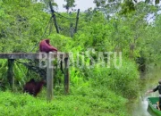 Data BPS 2025: Samarinda Dan Berau Kuasai Industri Kehutanan Di Kaltim